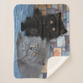 最も可愛い赤ん坊の動物 | Persian Kittens on Blanケット シェルパブランケット (正面)