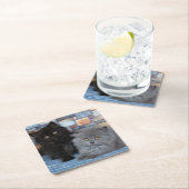 最も可愛い赤ん坊の動物 | Persian Kittens on Blanケット スクエアペーパーコースター (インサイチュ)