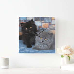 最も可愛い赤ん坊の動物 Persian Kittens on Blanケット スクエア壁時計