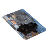 最も可愛い赤ん坊の動物 | Persian Kittens on Blanケット マグネット (右側)