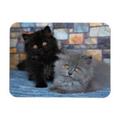 最も可愛い赤ん坊の動物 | Persian Kittens on Blanケット マグネット (横)