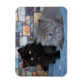 最も可愛い赤ん坊の動物 | Persian Kittens on Blanケット マグネット (縦)