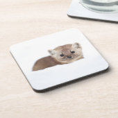 最も可愛い赤ん坊の動物 | Pine Marten コースター (左側)