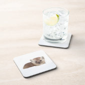 最も可愛い赤ん坊の動物 | Pine Marten コースター (右側)