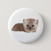 最も可愛い赤ん坊の動物 | Pine Marten 缶バッジ (正面)