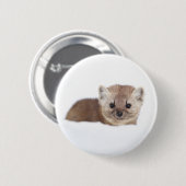最も可愛い赤ん坊の動物 | Pine Marten 缶バッジ (正面&裏面)