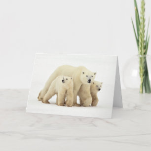最も可愛い赤ん坊の動物 Polar Bear Family カード