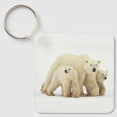 最も可愛い赤ん坊の動物 | Polar Bear Family キーホルダー (正面)