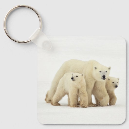 最も可愛い赤ん坊の動物 | Polar Bear Family キーホルダー (正面)
