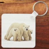 最も可愛い赤ん坊の動物 | Polar Bear Family キーホルダー (裏面)