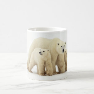 最も可愛い赤ん坊の動物 Polar Bear Family コーヒーマグカップ