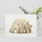 最も可愛い赤ん坊の動物 | Polar Bear Family サンキューカード (スタンド正面)