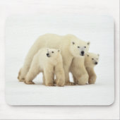 最も可愛い赤ん坊の動物 | Polar Bear Family マウスパッド (正面)