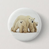 最も可愛い赤ん坊の動物 | Polar Bear Family 缶バッジ (正面)