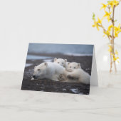 最も可愛い赤ん坊の動物 | Polar Bear Family Alaska カード (黄色い花)