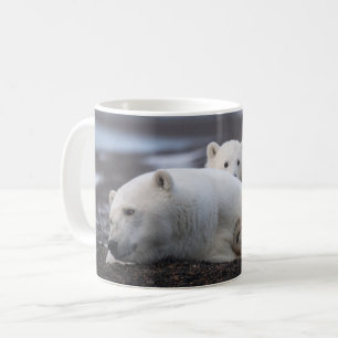 最も可愛い赤ん坊の動物 Polar Bear Family Alaska コーヒーマグカップ