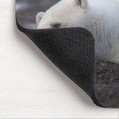 最も可愛い赤ん坊の動物 | Polar Bear Family Alaska マウスパッド (コーナー)