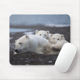 最も可愛い赤ん坊の動物 Polar Bear Family Alaska マウスパッド
