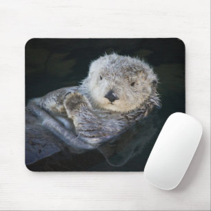 最も可愛い赤ん坊の動物 Sea Otter Floating マウスパッド