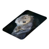 最も可愛い赤ん坊の動物 | Sea Otter Floating マグネット (左側)