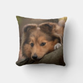 最も可愛い赤ん坊の動物 Shetland Sheepdogの子犬| クッション (正面)