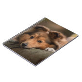 最も可愛い赤ん坊の動物 Shetland Sheepdogの子犬| ノートブック (左側)