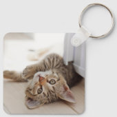 最も可愛い赤ん坊の動物 | Shorthair虎猫子猫 キーホルダー (裏面)