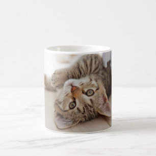 最も可愛い赤ん坊の動物 Shorthair虎猫子猫 コーヒーマグカップ