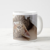 最も可愛い赤ん坊の動物 | Shorthair虎猫子猫 ジャンボコーヒーマグカップ (正面右)
