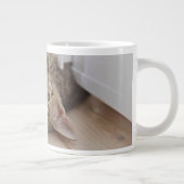 最も可愛い赤ん坊の動物 | Shorthair虎猫子猫 ジャンボコーヒーマグカップ (右)