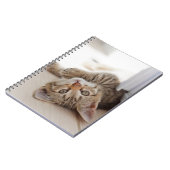 最も可愛い赤ん坊の動物 | Shorthair虎猫子猫 ノートブック (左側)