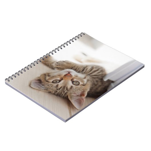 最も可愛い赤ん坊の動物 | Shorthair虎猫子猫 ノートブック (左側)