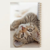 最も可愛い赤ん坊の動物 | Shorthair虎猫子猫 プランナー手帳 (裏面)