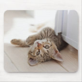 最も可愛い赤ん坊の動物 | Shorthair虎猫子猫 マウスパッド (正面)