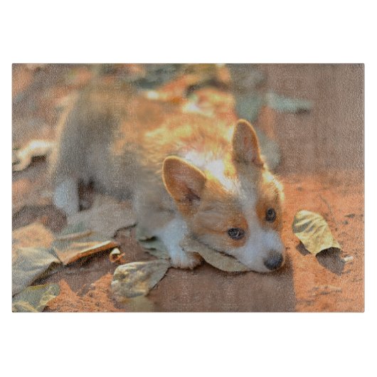最も可愛い赤ん坊の動物 | Shy Corgi カッティングボード (正面)