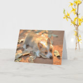 最も可愛い赤ん坊の動物 | Shy Corgi カード (黄色い花)
