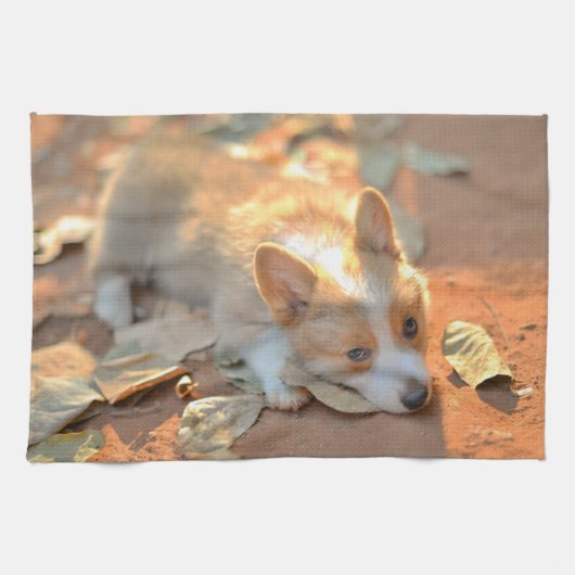 最も可愛い赤ん坊の動物 | Shy Corgi キッチンタオル (横)