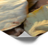 最も可愛い赤ん坊の動物 | Shy Corgi ポスター (角)