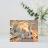 最も可愛い赤ん坊の動物 | Shy Corgi ポストカード (スタンド正面)