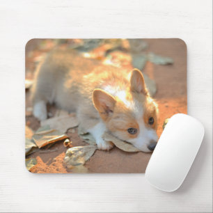 最も可愛い赤ん坊の動物 Shy Corgi マウスパッド