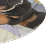 最も可愛い赤ん坊の動物 | Shy Old English Bulldog カッティングボード (角)