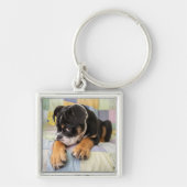 最も可愛い赤ん坊の動物 | Shy Old English Bulldog キーホルダー (正面)