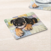 最も可愛い赤ん坊の動物 | Shy Old English Bulldog スクエアペーパーコースター (アングル)
