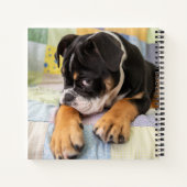 最も可愛い赤ん坊の動物 | Shy Old English Bulldog ノートブック (裏面)