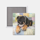 最も可愛い赤ん坊の動物 | Shy Old English Bulldog マグネット (正面/裏面)