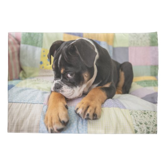 最も可愛い赤ん坊の動物 | Shy Old English Bulldog 枕カバー (裏面)