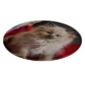 最も可愛い赤ん坊の動物 | Siamese Kitten カッティングボード (角)