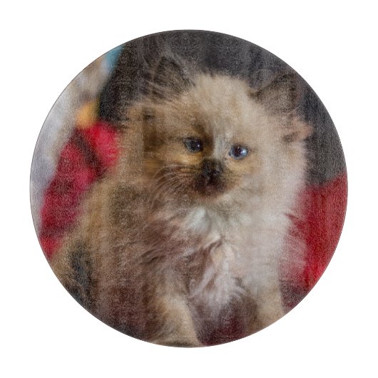 最も可愛い赤ん坊の動物 | Siamese Kitten カッティングボード (正面)