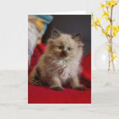 最も可愛い赤ん坊の動物 | Siamese Kitten カード (黄色い花)