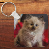 最も可愛い赤ん坊の動物 | Siamese Kitten キーホルダー (正面)
